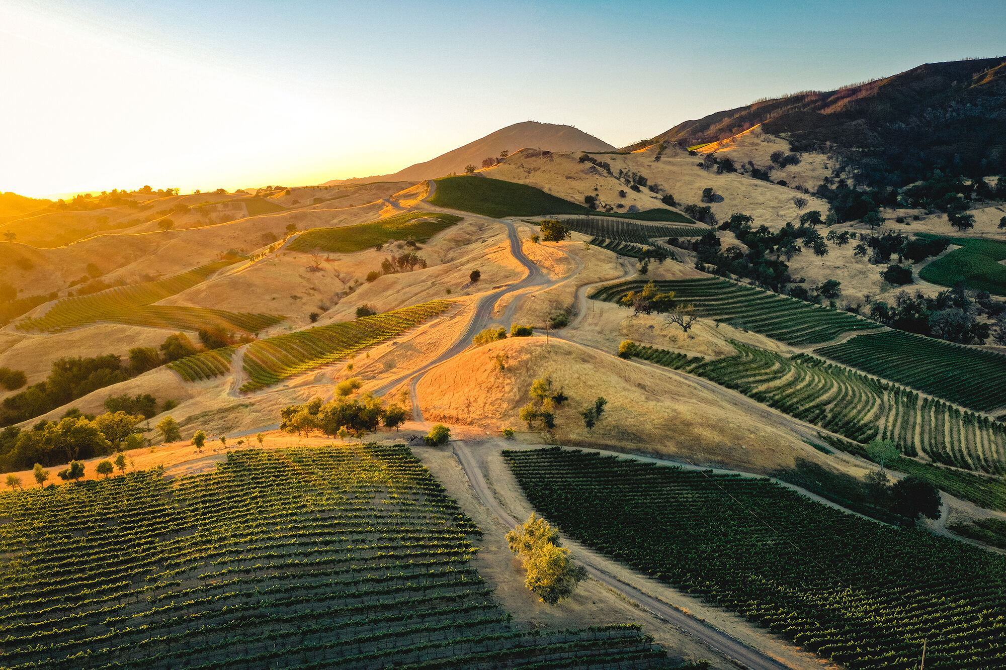 Stonestreet Estate Mountains