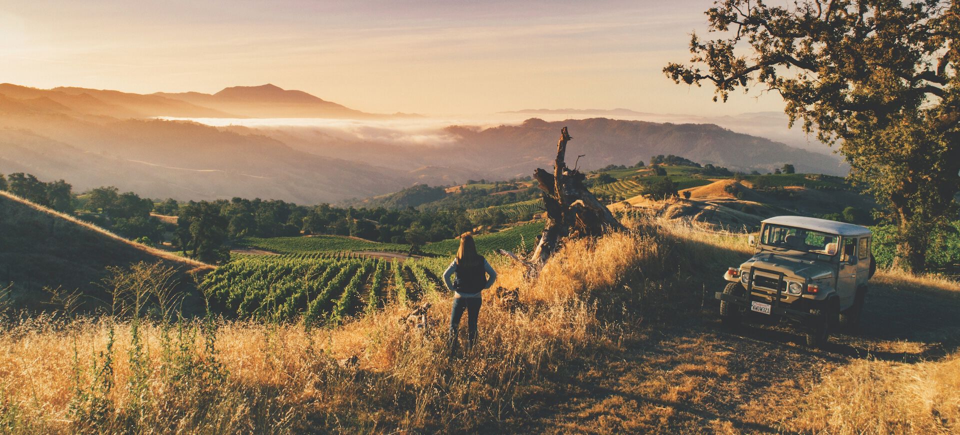 Kristina Shideler looking over Rockfall Vineyard