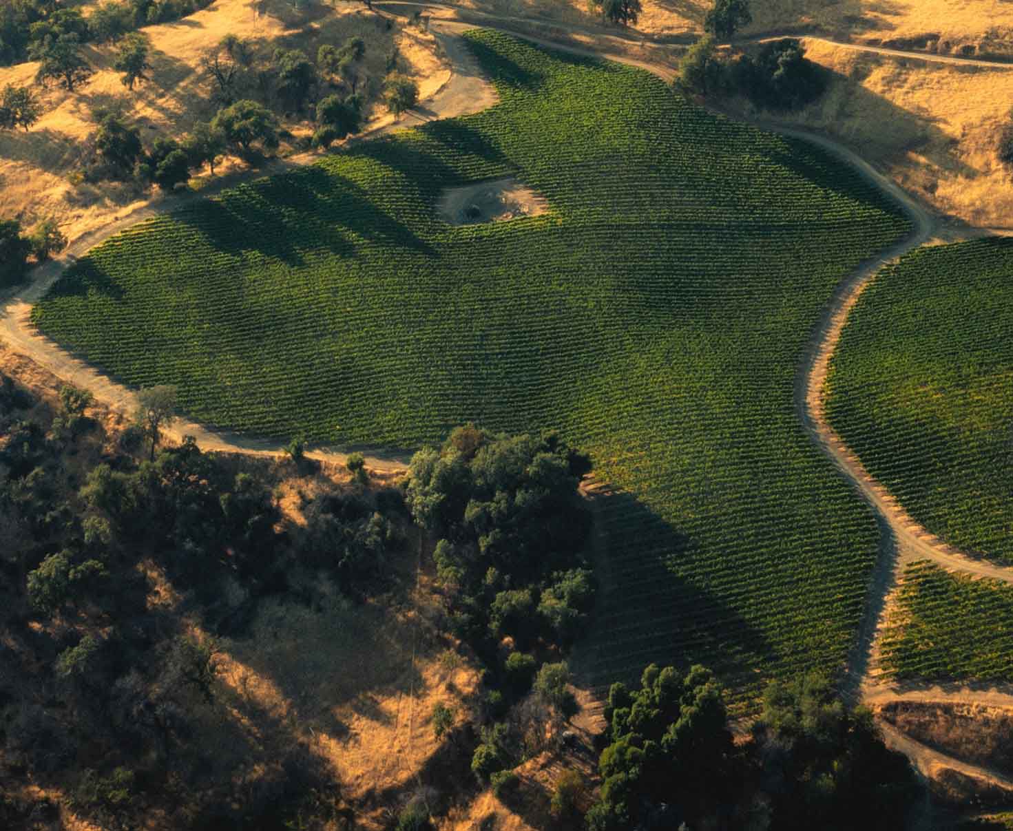 Aerial view of Upper Barn Vineyard