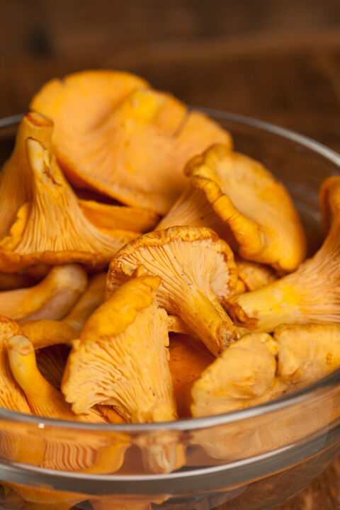 chanterelle mushrooms