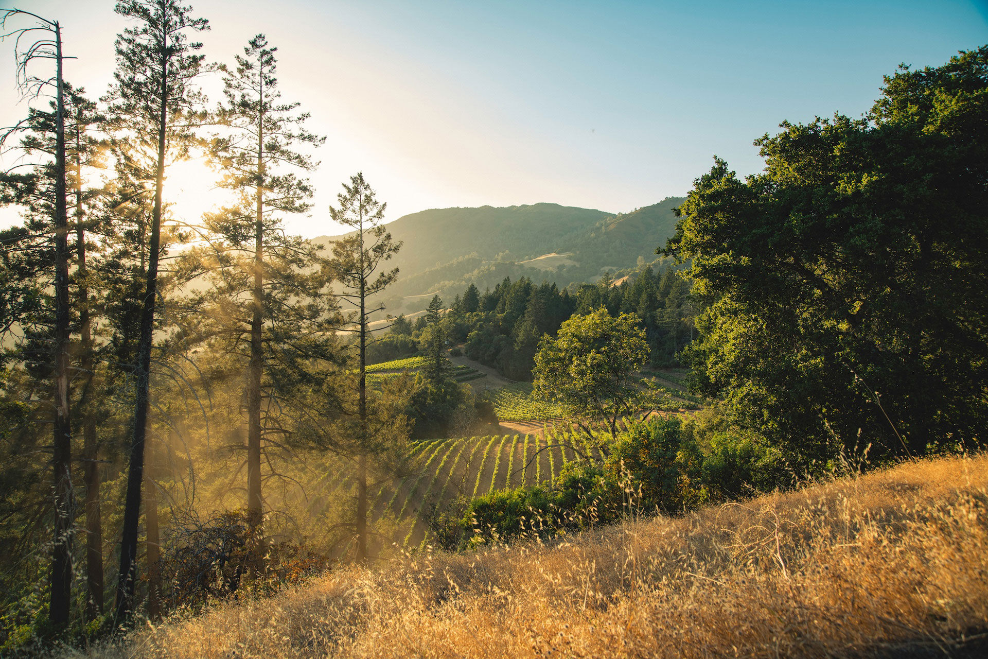 View of Alexander Mountain Estate