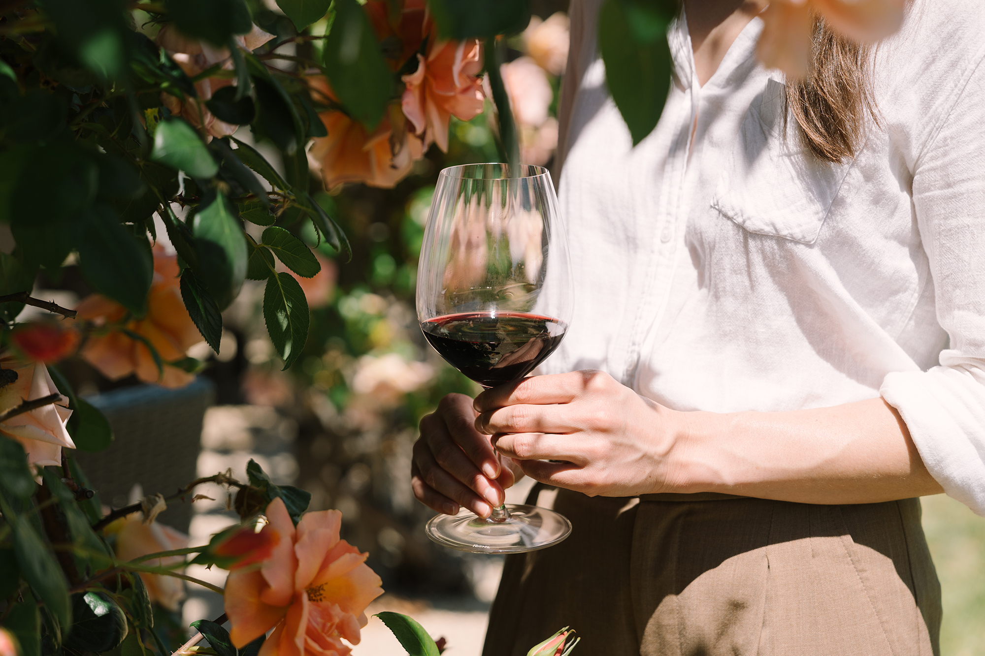 Cabernet Sauvignon large format bottles 